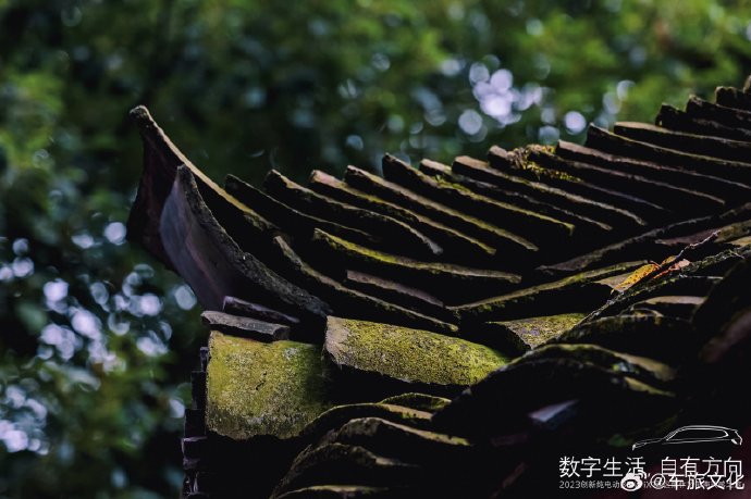 ����������з���  2023���´��綯BMW iX1����ǭ�������֮�������չ�